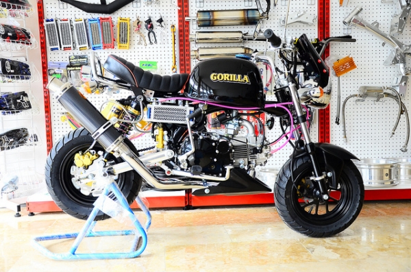 มังกี้แต่งๆๆ กอลิล่า แต่ง ลดราคาทุกรุ่น ต้อนรับปีใหม่ ด่วนๆๆ ลดๆๆ