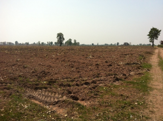 ขายที่ดิน ทำการเกษตร 106 ไร่ อ.หันคา จ.ชัยนาท ขายที่ดิน ทำการเกษตร 106 ไร่ อ.หันคา จ.ชัยนาท