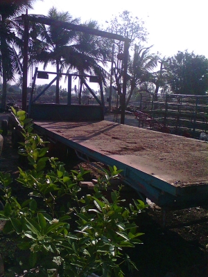 ขายพื้นเรียบรถ6ล้อ