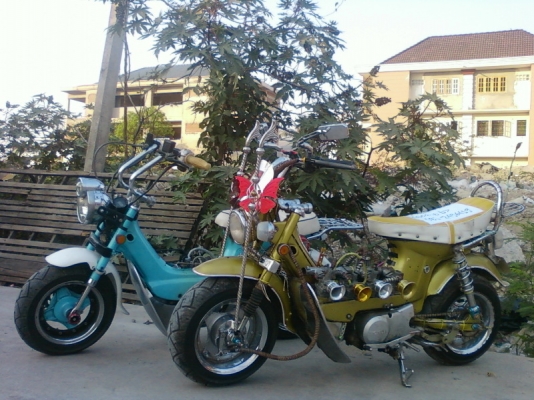 ด่วนชาลีล้อโต โหลดๆ สวยเท่ห์