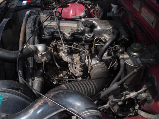 ,ไมตี้หัวเดียวปี34 ,ไมตี้หัวเดียวปี34