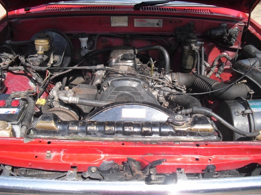 ,ไมตี้หัวเดียวปี34 ,ไมตี้หัวเดียวปี34