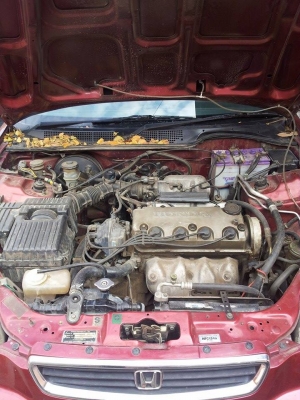 ขายรถดาวน์ Civic ปี97