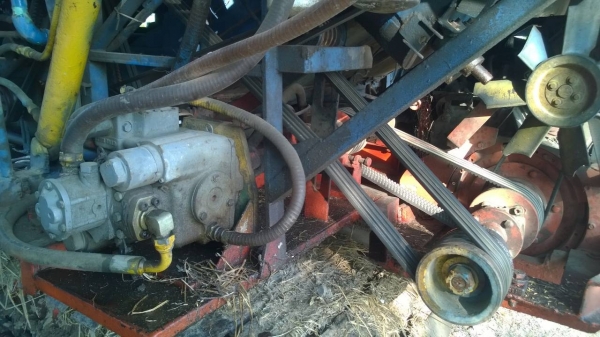 บางไทรสิงห์คะนองนา