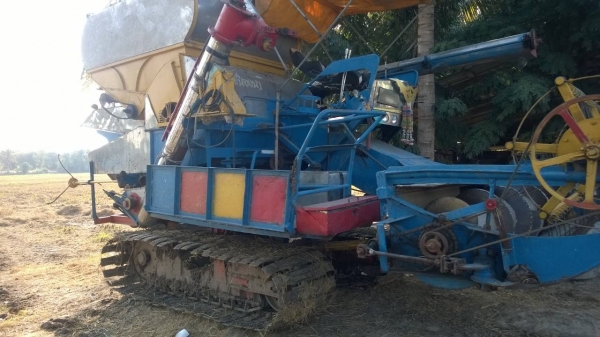 บางไทรสิงห์คะนองนา