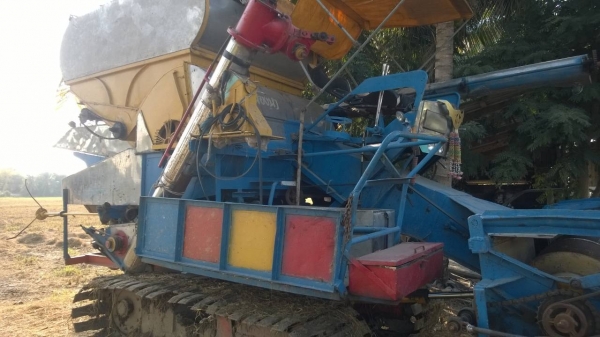 บางไทรสิงห์คะนองนา