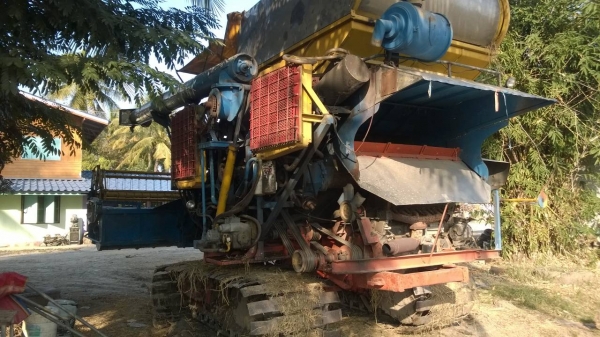 บางไทรสิงห์คะนองนา