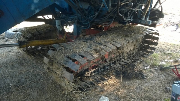 บางไทรสิงห์คะนองนา