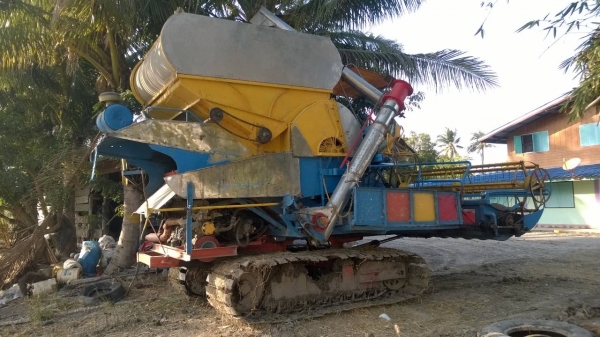 บางไทรสิงห์คะนองนา