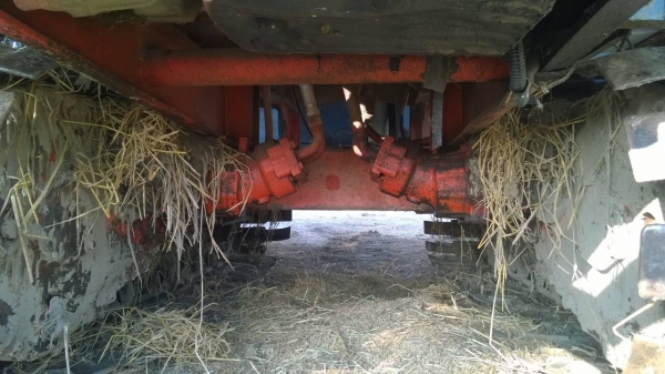 บางไทรสิงห์คะนองนา