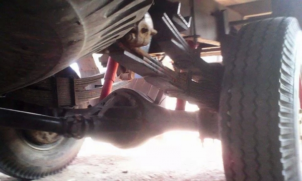 ขาย...รถอีแต๋น