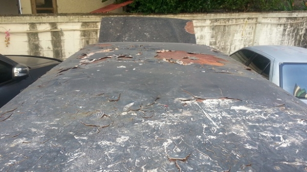 ขาย TOYOTA LN 51 ติดต่อวรุธ 081-734-4077 ขาย TOYOTA LN 51 ติดต่อวรุธ 081-734-4077