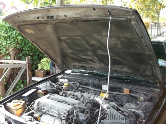 ขาย นิสสันบลูเบริด 39000 บาท ต่อรองได้ ขาย นิสสันบลูเบริด 39000 บาท ต่อรองได้