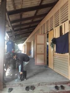 ขายเรือนไม้เก่า