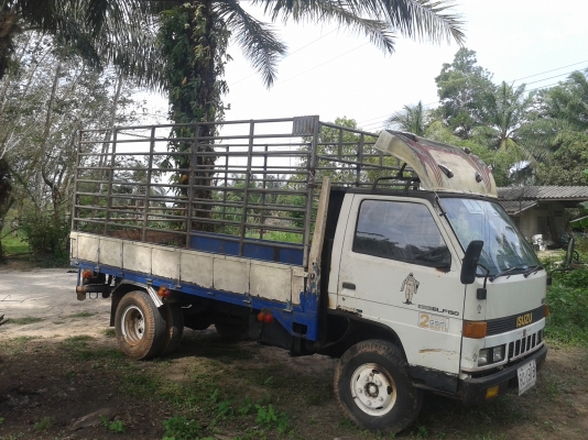 ขาย อีซุซุ หกล้อ ไม่ดั๊มคับ 125000 คับ