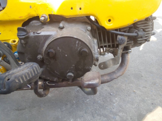 ขาย ชาลี