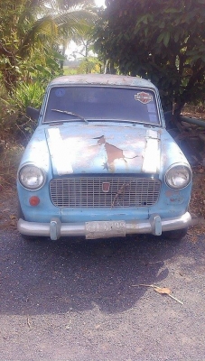 ขาย  fiat 1300 มีทะเบียน คับ รถติด คับ ลองดูคับ 35000