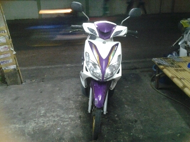 มีโอปี55