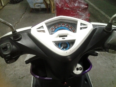 มีโอปี55