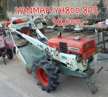 ขายรถไถนาเดินตาม YANMAR YH800 เก่านอก