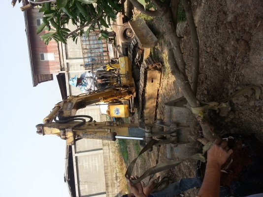 โคมัสสุ PC20-5 ใช้งานได้เลยครับ..ขายเลย 175000 บาท..