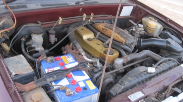 ขายอีซูสุมังกรแค็ป ขายอีซูสุมังกรแค็ป