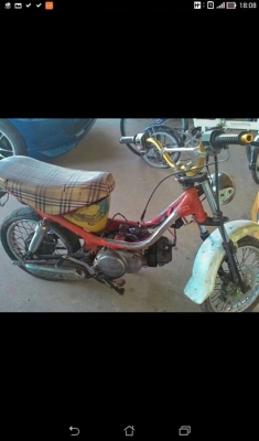 ขายชิ้ปปี้ราคาถูก เครื่องติด ราคาเบาๆ 2800 ราคานี้คุ้มสุดคุ้มครับ