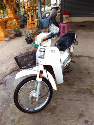 ขายดรีมคุรุสีขาวทะเบียนโอน12500บาท0897074784พิดโลก