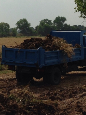 ขายด่วน!!!!!!6ล้อดั้ม เครื่องดี สภาพสวย ไม่มีผุ ขายด่วน!!!!!!6ล้อดั้ม เครื่องดี สภาพสวย ไม่มีผุ