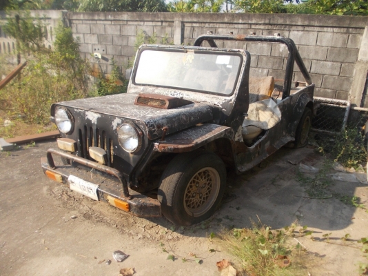 jeep Mini