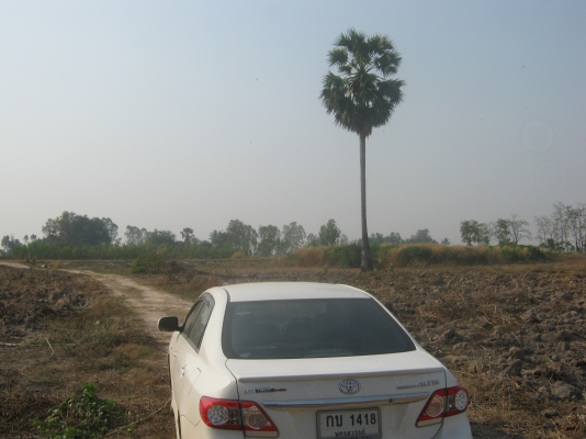 ขายที่ดิน 88 ไร่ ต้องการนายหน้าขายที่ดิน 3\% ของยอดขาย 9.5 ล้าน ขายที่ดิน 88 ไร่ ต้องการนายหน้าขายที่ดิน 3\% ของยอดขาย 9.5 ล้าน