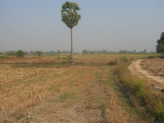 ขายที่ดิน 88 ไร่ ต้องการนายหน้าขายที่ดิน 3\% ของยอดขาย 9.5 ล้าน ขายที่ดิน 88 ไร่ ต้องการนายหน้าขายที่ดิน 3\% ของยอดขาย 9.5 ล้าน