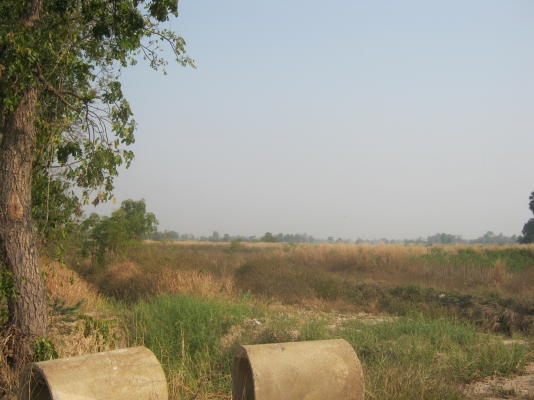 ขายที่ดิน 88 ไร่ ต้องการนายหน้าขายที่ดิน 3\% ของยอดขาย 9.5 ล้าน ขายที่ดิน 88 ไร่ ต้องการนายหน้าขายที่ดิน 3\% ของยอดขาย 9.5 ล้าน