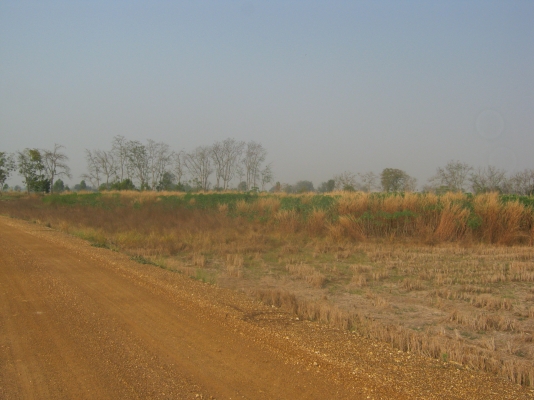 ขายที่ดิน 88 ไร่ ต้องการนายหน้าขายที่ดิน 3\% ของยอดขาย 9.5 ล้าน ขายที่ดิน 88 ไร่ ต้องการนายหน้าขายที่ดิน 3\% ของยอดขาย 9.5 ล้าน