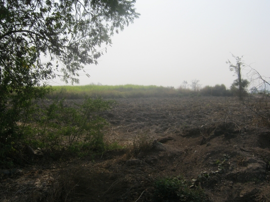 ขายที่ดิน 88 ไร่ ต้องการนายหน้าขายที่ดิน 3\% ของยอดขาย 9.5 ล้าน ขายที่ดิน 88 ไร่ ต้องการนายหน้าขายที่ดิน 3\% ของยอดขาย 9.5 ล้าน