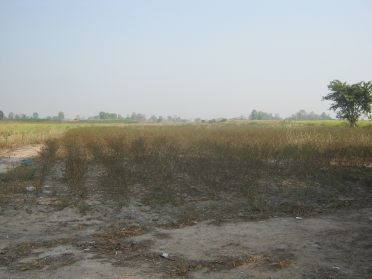 ขายที่ดิน 88 ไร่ ต้องการนายหน้าขายที่ดิน 3\% ของยอดขาย 9.5 ล้าน ขายที่ดิน 88 ไร่ ต้องการนายหน้าขายที่ดิน 3\% ของยอดขาย 9.5 ล้าน