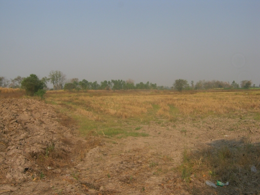 ขายที่ดิน 88 ไร่ ต้องการนายหน้าขายที่ดิน 3\% ของยอดขาย 9.5 ล้าน ขายที่ดิน 88 ไร่ ต้องการนายหน้าขายที่ดิน 3\% ของยอดขาย 9.5 ล้าน