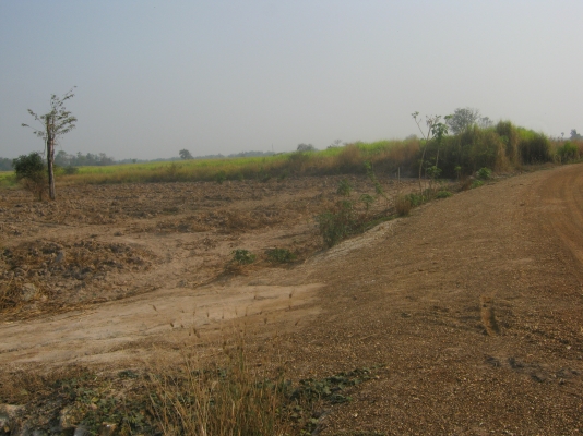 ขายที่ดิน 88 ไร่ ต้องการนายหน้าขายที่ดิน 3\% ของยอดขาย 9.5 ล้าน ขายที่ดิน 88 ไร่ ต้องการนายหน้าขายที่ดิน 3\% ของยอดขาย 9.5 ล้าน