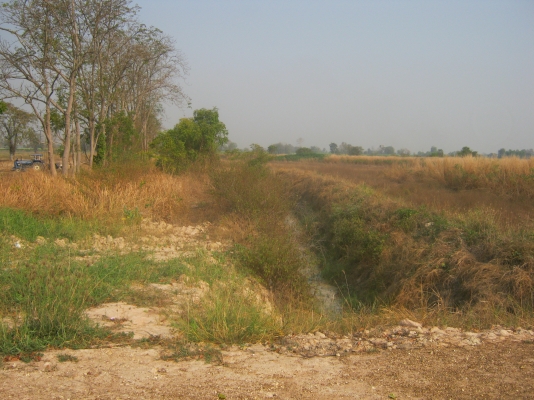 ขายที่ดิน 88 ไร่ ต้องการนายหน้าขายที่ดิน 3\% ของยอดขาย 9.5 ล้าน ขายที่ดิน 88 ไร่ ต้องการนายหน้าขายที่ดิน 3\% ของยอดขาย 9.5 ล้าน