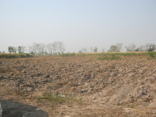 ขายที่ดิน 88 ไร่ ต้องการนายหน้าขายที่ดิน 3\% ของยอดขาย 9.5 ล้าน ขายที่ดิน 88 ไร่ ต้องการนายหน้าขายที่ดิน 3\% ของยอดขาย 9.5 ล้าน