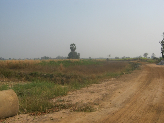 ขายที่ดิน 88 ไร่ ต้องการนายหน้าขายที่ดิน 3\% ของยอดขาย 9.5 ล้าน ขายที่ดิน 88 ไร่ ต้องการนายหน้าขายที่ดิน 3\% ของยอดขาย 9.5 ล้าน