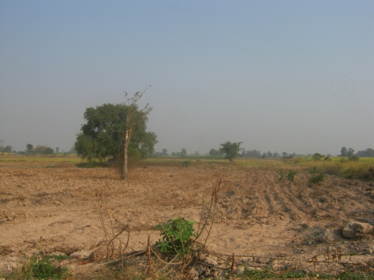 ขายที่ดิน 88 ไร่ ต้องการนายหน้าขายที่ดิน 3\% ของยอดขาย 9.5 ล้าน ขายที่ดิน 88 ไร่ ต้องการนายหน้าขายที่ดิน 3\% ของยอดขาย 9.5 ล้าน