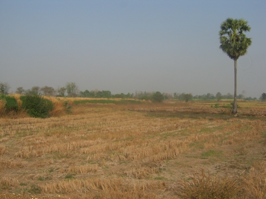 ขายที่ดิน 88 ไร่ ต้องการนายหน้าขายที่ดิน 3\% ของยอดขาย 9.5 ล้าน ขายที่ดิน 88 ไร่ ต้องการนายหน้าขายที่ดิน 3\% ของยอดขาย 9.5 ล้าน