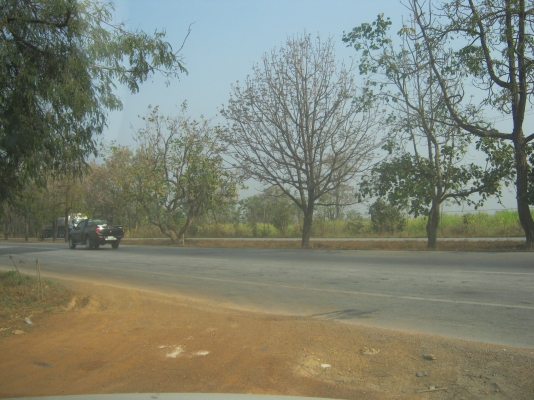 ขายที่ดิน 88 ไร่ ต้องการนายหน้าขายที่ดิน 3\% ของยอดขาย 9.5 ล้าน ขายที่ดิน 88 ไร่ ต้องการนายหน้าขายที่ดิน 3\% ของยอดขาย 9.5 ล้าน