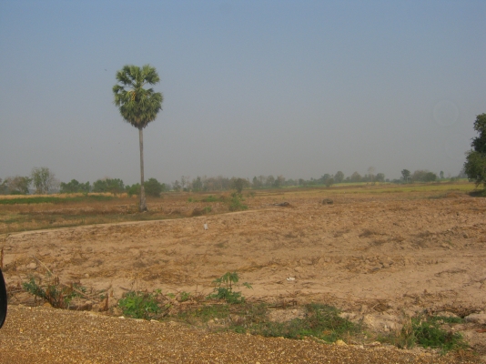 ขายที่ดิน 88 ไร่ ต้องการนายหน้าขายที่ดิน 3\% ของยอดขาย 9.5 ล้าน ขายที่ดิน 88 ไร่ ต้องการนายหน้าขายที่ดิน 3\% ของยอดขาย 9.5 ล้าน