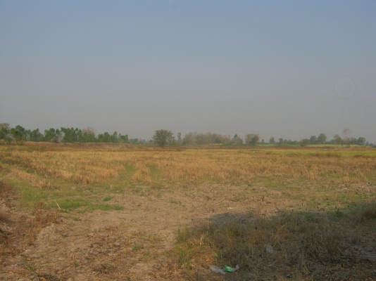 ขายที่ดิน 88 ไร่ ต้องการนายหน้าขายที่ดิน 3\% ของยอดขาย 9.5 ล้าน ขายที่ดิน 88 ไร่ ต้องการนายหน้าขายที่ดิน 3\% ของยอดขาย 9.5 ล้าน