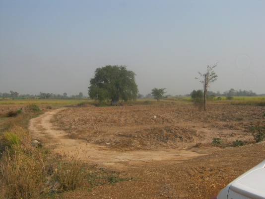 ขายที่ดิน 88 ไร่ ต้องการนายหน้าขายที่ดิน 3\% ของยอดขาย 9.5 ล้าน ขายที่ดิน 88 ไร่ ต้องการนายหน้าขายที่ดิน 3\% ของยอดขาย 9.5 ล้าน