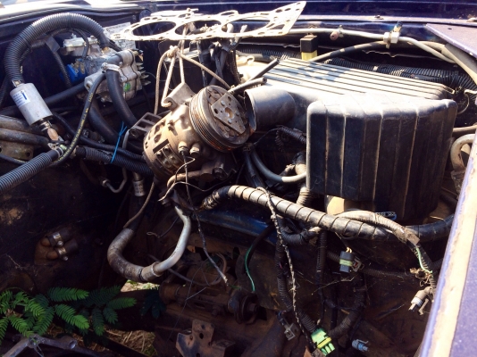 ขายด่วนรถหรู. Isuzu trooper. สภาพเครื่องพัง. ราคาถูก