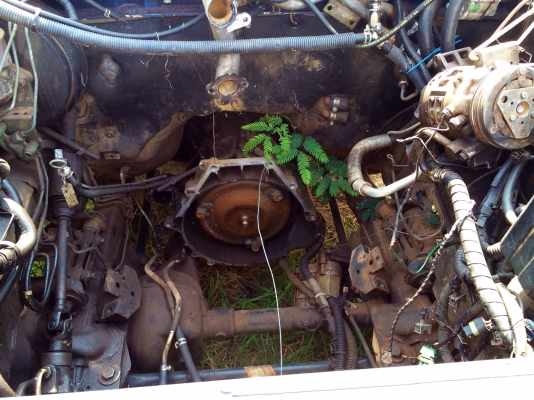 ขายด่วนรถหรู. Isuzu trooper. สภาพเครื่องพัง. ราคาถูก