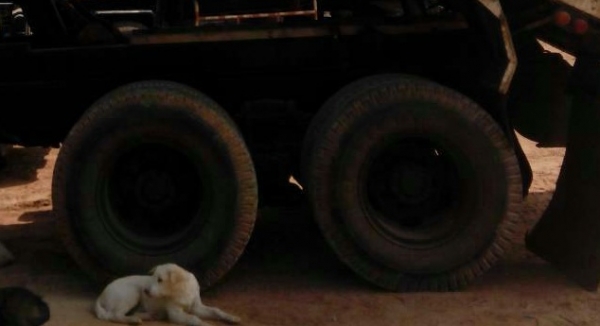 ิสิบล้อ2เพาดั้ม ไอ้หลง FN527-MA-2&times;&times;&times;เครือง6D16-เกียร์ใหญ่10สปรีค สภาพพร้อมใช้งาน ทะเบียนพร้อมโอน